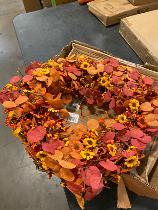 Photo 2 of DIYFLORU Thinksgiving Wreath for Front Door 17 inch Autumn Door Wreath Fall Eucalyptus Wreath with Daisy for Thanksgiving Harvest Festival Indoors Outside
