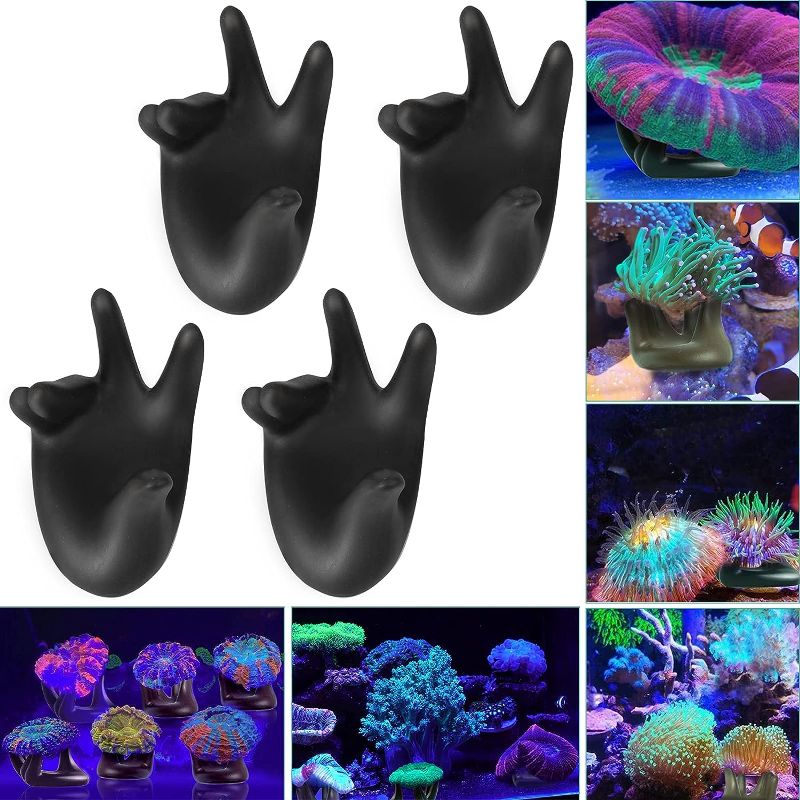 Photo 1 of Aquarium Choice Big Size Ceramic Coralline Coral Frag Plugs Coral frag Plate Base 