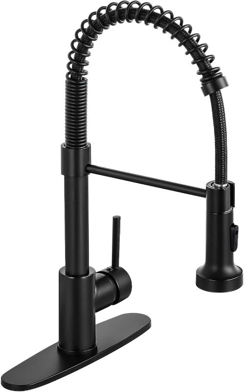 Photo 1 of  2-in-1 Commercial Style Pull-Down Single Handle 1.8 GPM Kitchen Faucet with Integrated 1.0 GPM Water Filter Faucet