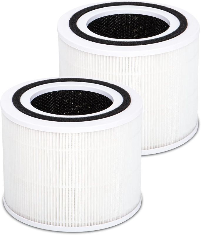 Photo 1 of 2-Pack Core 300 Replacement Filter 