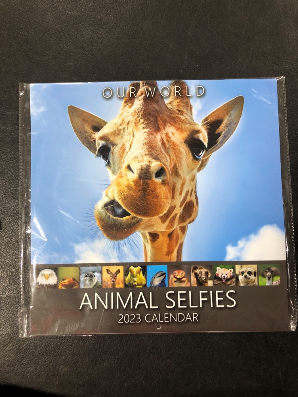 Photo 2 of Our World Animal Selfies Wall Calendar 2023 - Funny Family Planner & Daily Organiser with Monthly Picture - Animal Calendar Gift, Christmas Stocking Filler & Slim Design 2023 Wall Planner