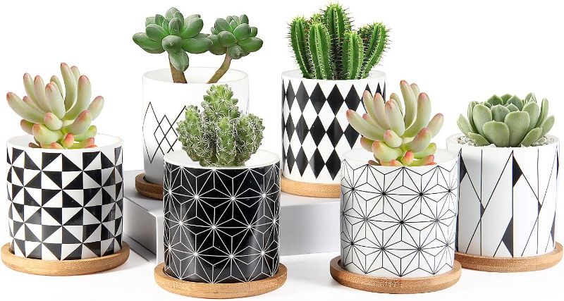 Photo 1 of ZOUTOG Succulent Pots, 3 inch Ceramic Mini Succulent Planter Pot, Geometric Pattern Round Small Flower Pots with Drainage and Bamboo Tray, Pack of 6 - Plants Not Included