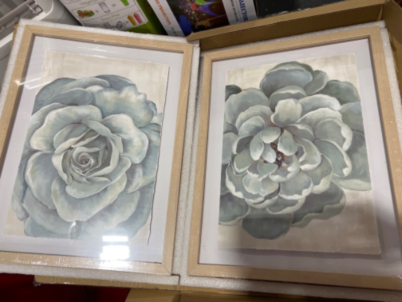 Photo 1 of 12 X 16 FLOWER FRAMES HOME DECOR