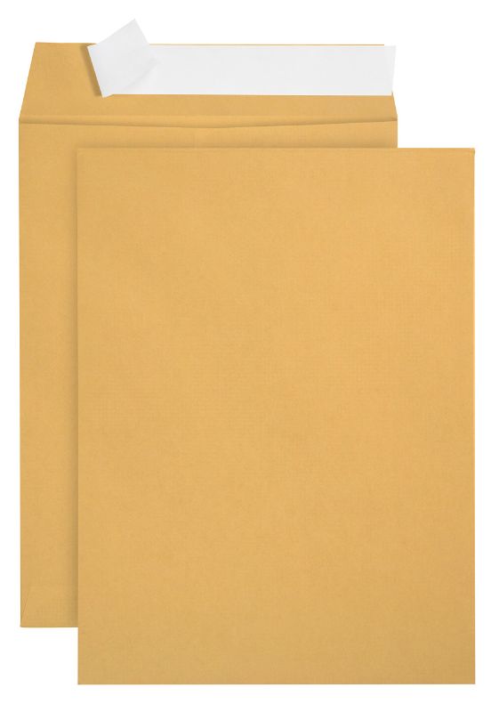 Photo 1 of ***non refundable****
100 9 X 12 Self Seal Golden Brown Kraft Catalog Envelopes - Designed for Secure Mailing - Oversize Strong Peel and Seal Flap with 28 Pound Kraft Paper- 100 Envelopes