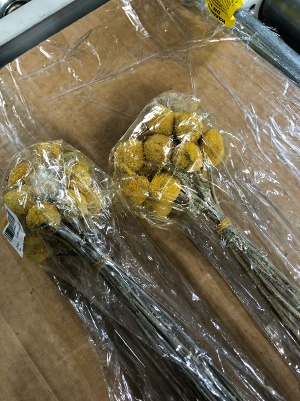 Photo 4 of ***non refundable bundle****
CHENGRD Dried Craspedia Globosa Yellow Billy Balls Natural Dried Flower 20 Stems, 1-1.5 inch in Diameter, Dried Plant Dried Flower Branch for DIY Flower Arrangements Home Decor (2 Pack)