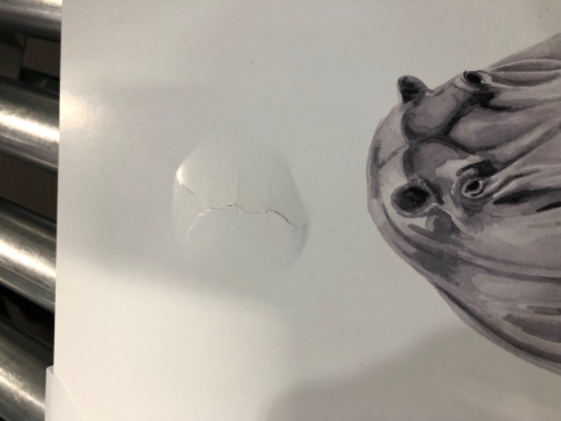 Photo 1 of **Damaged***Stupell Industries Hippo In A Tub Funny Animal Bathroom Drawing, Design by Rachel Neiman Art, 13 x 19, Wall Plaque 13 x 19 Wall Plaque