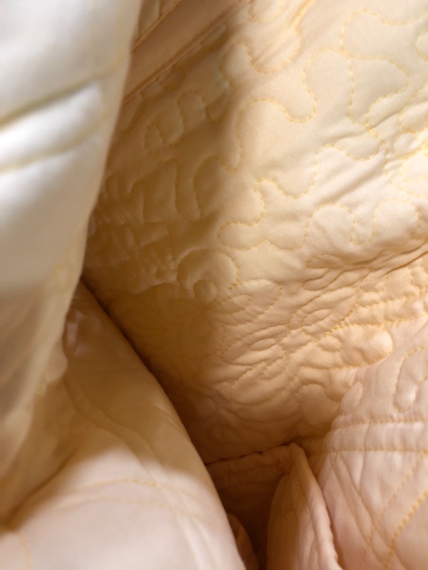 Photo 4 of * see all images *
Tache Quilted Yellow Scalloped Buttercup Puffs Matelasse Bedspread Coverlet Set, Queen Queen Yellow