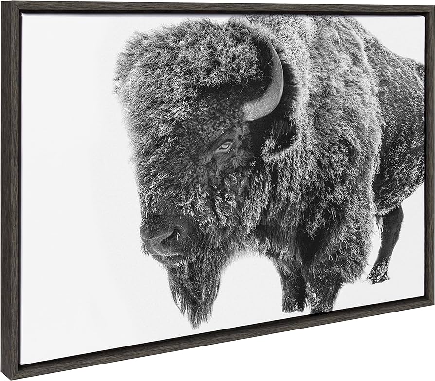 Photo 1 of *FRAME IS BROKEN* Kate and Laurel Sylvie Bison in Snow Black and White Framed Canvas