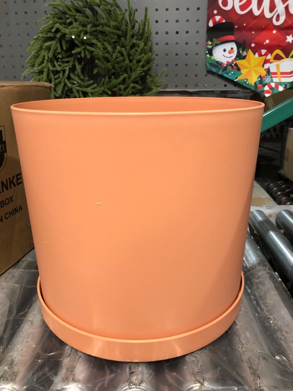 Photo 3 of Bloem Mathers Round Planter with Saucer Tray: 12" - Terra Cotta - Modern Design, Durable Plastic Pot, Removable Saucer, for Indoor & Outdoor Use, Gardening, 5.8 Gallon Capacity