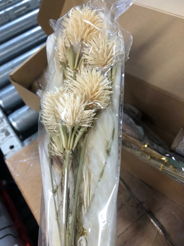 Photo 3 of 100PCS Pampas Grass Home Decor - 15.7” Pompas Grass for Dried Floral Arrangements