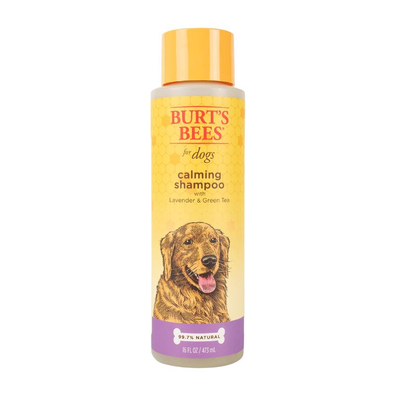Photo 1 of Burt's Bees for Pets Natural Calming Lavender Dog Shampoo with Green Tea, Anti-Itch and Allergy Relief, Includes Oatmeal for Soothing Comfort - Sulfate, Paraben Free, pH Balanced, 16 oz - Made in USA Shampoo 16 Fl Oz (Pack of 1)