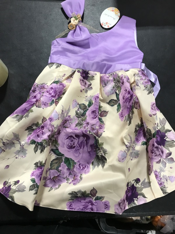 Photo 1 of Girls Dress SIze 110
