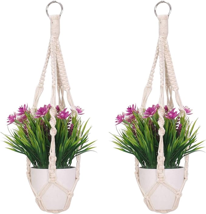 Photo 1 of 2 Pack Hanging Planters 