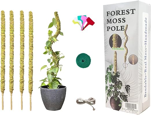 Photo 1 of 23.5“ Moss Pole for Plants 100% Natural Sphagnum Moss Plant Support Stakes Bendable DIY Shape for Monstera, Sphagnum, Indoor Climbing Potted Plants (23.5, 4pcs)