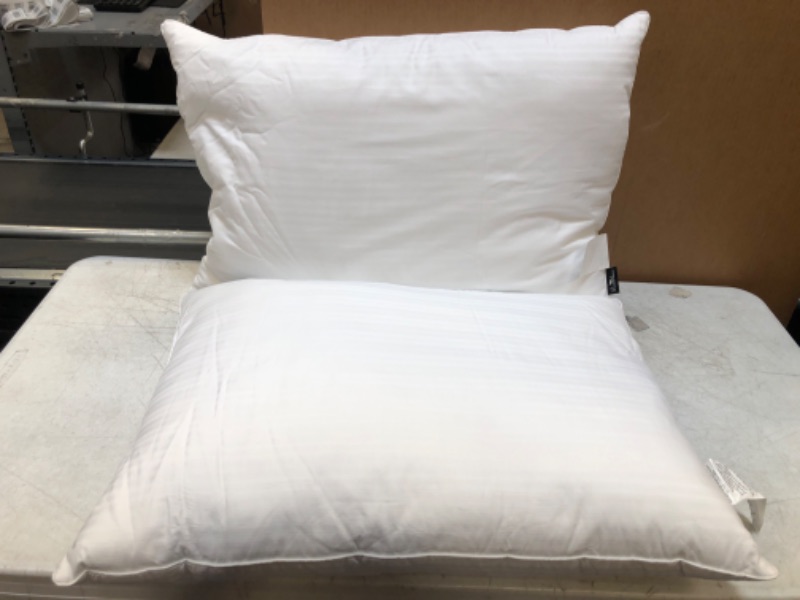 Photo 1 of 2 DOWN LUXE PILLOWS 