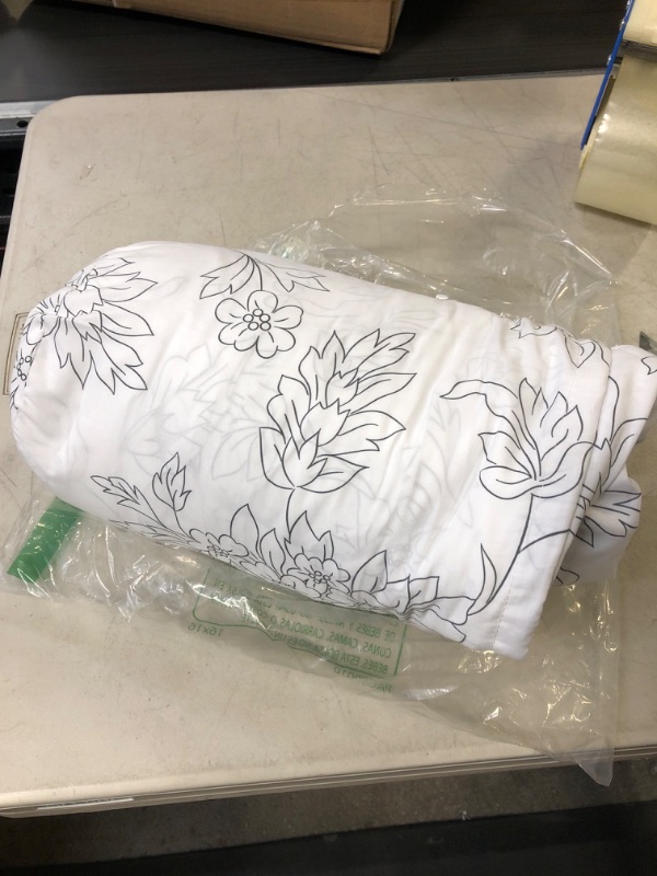 Photo 1 of BED SHEET SET 