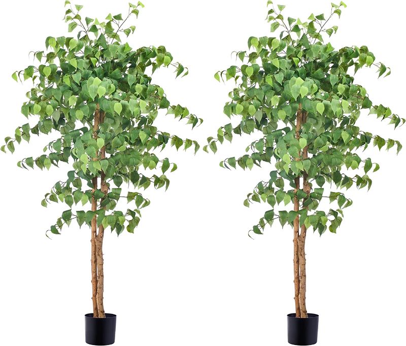 Photo 1 of  Fake Plants 5FT 2Packs Ficus Tree Artificial with Curly Leaves & Real Trunk, 60'' Fake Ficus Tree Potted Silk Plants for Indoor Outdoor Room Decor Aesthetic Housewarming Gift
Visit the Aphighjoy Store