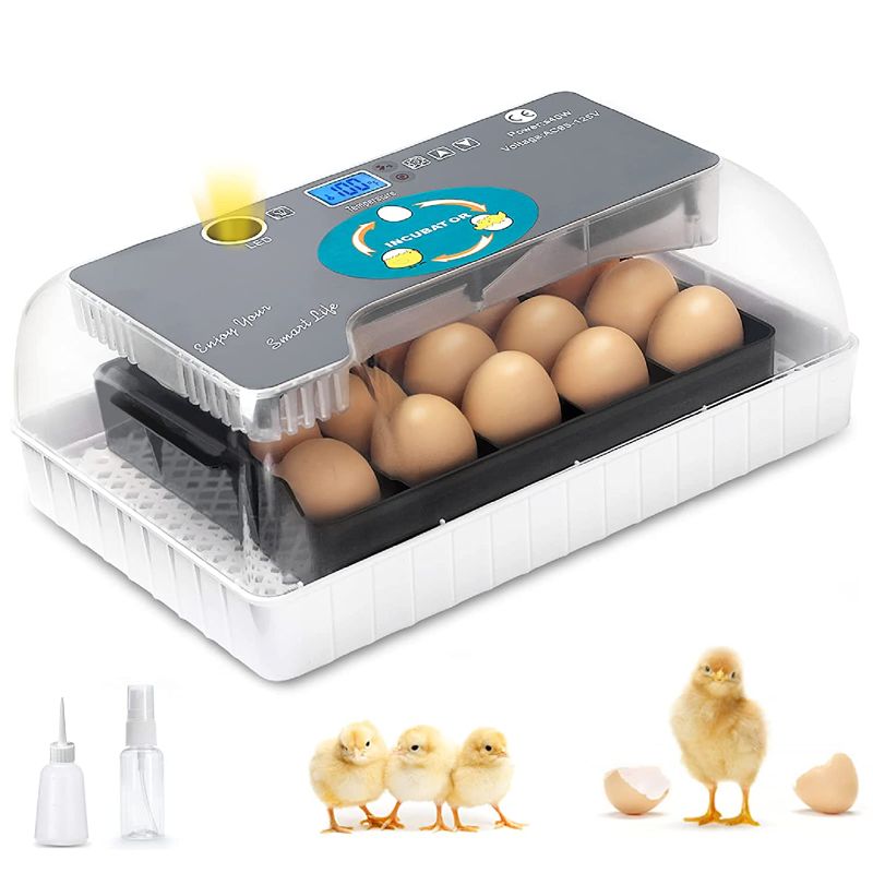 Photo 1 of Apdoe Egg Incubator Clear View, Automatic Egg Turner, Temperature Humidity Control, Egg Candler, Poultry Egg Incubator for Hatching 12-15 Chicken Eggs, 35 Quail Eggs, 9 Duck Eggs, Turkey Goose Birds
