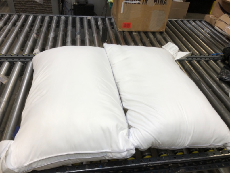 Photo 1 of 2 pack white pillows 