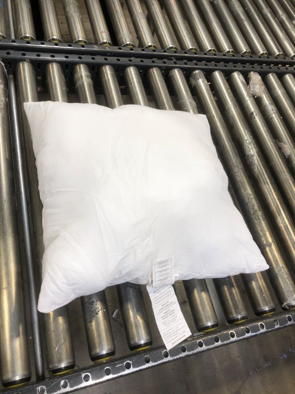 Photo 1 of 18"x18" white throw pillow