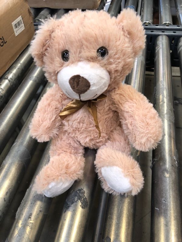 Photo 1 of 12" teddy bear