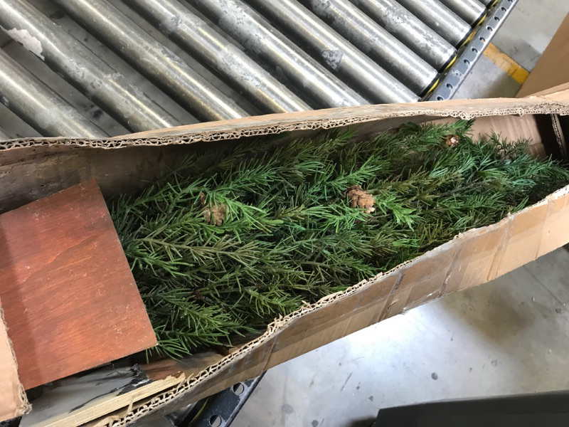 Photo 1 of 3' Alpine Christmas Tree in Wood Planter with Pine Cones