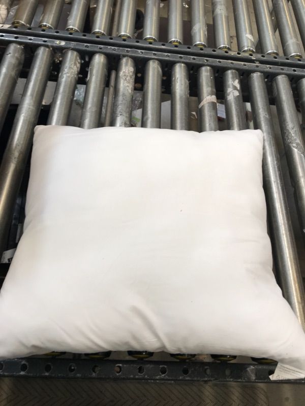Photo 2 of 15"X15" outdoor pillow insert 