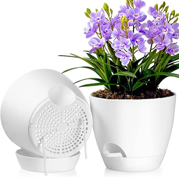 Photo 1 of 8 inch Plant Pots Indoor, 2-Pack Large Self Watering Planters, Plastic Flower Pots with Drainage Holds and Saucers for African Violets, Orchids, Garden & House Plants