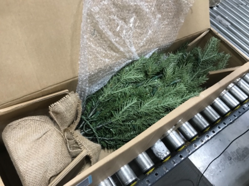 Photo 2 of  National Tree Company Clear Prelit Incandescent Green Spruce Christmas Tree 3 