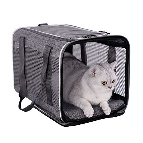 Photo 1 of  Petisfam Top Load Pet Carrier for Large and Medium Cats Grey