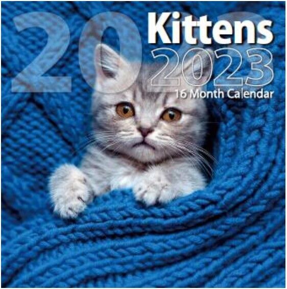 Photo 1 of 2023 Kittens Full Size Wall Calendar
