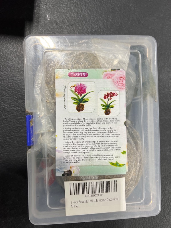 Photo 1 of 2 Pots Beautiful Mini Red and Pink Orchid Live Plants, Moss Planted for Office Table Home Decoration