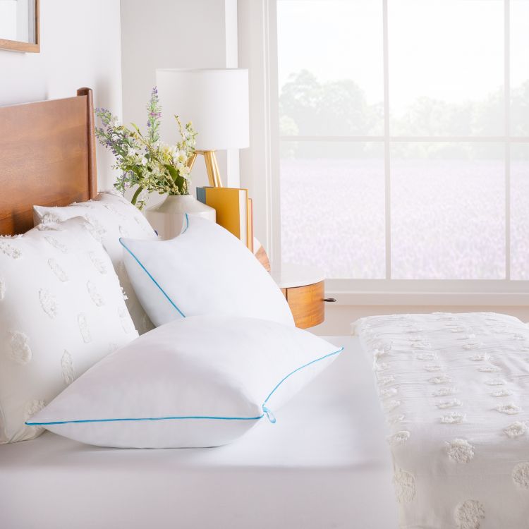 Photo 1 of 2 Pack Shredded Memory Foam Pillows 34IN X 16IN 