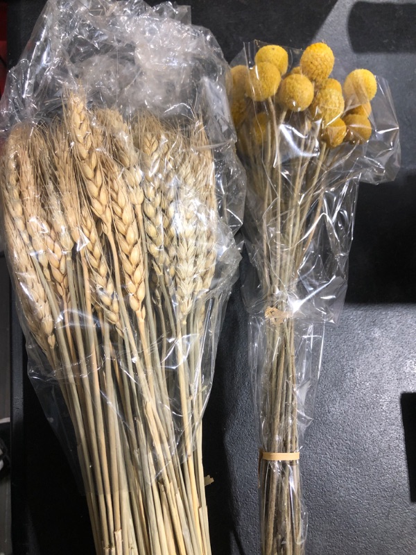 Photo 2 of 230 Pcs Fall Faux Flowers Decoration Include 200 Dried Wheat Corn Stalks and 30 Dried Craspedia Billy Ball Flowers Autumn Floral Autumn Decor for Home Party Table Wedding