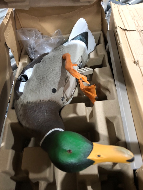 Photo 2 of Avian-X mens Waterfowl Decoy, Realistic, One Size US