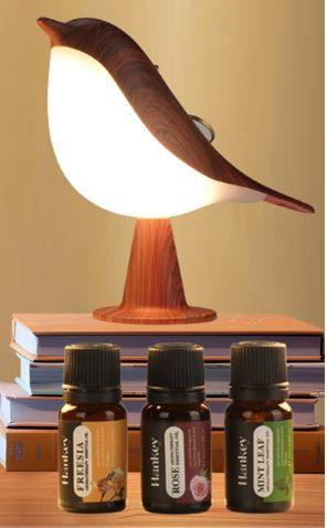 Photo 1 of Limited-time deal: Vquand Bird Small Desk Lamp, Dimmer Kids Night Light for Bedroom, Cordless Table Lamp with 3 Color Temperature and Touch Sensor, Rechargeable Bedside lamp, Hummingbird Lamp 