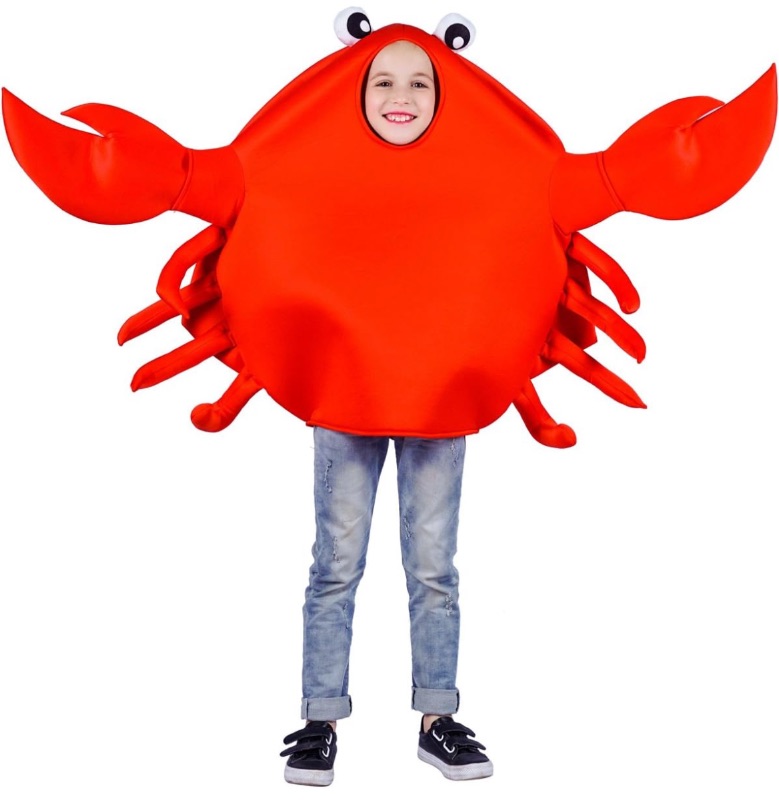 Photo 1 of Child's Unisex King Crab Costume One Size