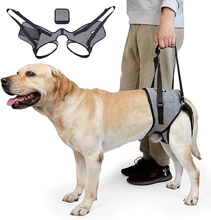 Photo 1 of Dog Lift Harness, Dog Sling for Medium Dogs 