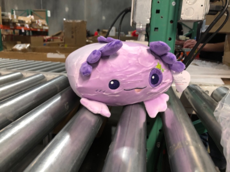 Photo 3 of Auspicious beginning Cute Axolotl Plush Pillow Stuffed Animal, Kawaii Cat face Newt Toys Soft Axolotl Plush Dolls for Kids Boys Girls Adults Gifts (Purple Salamander,15.8inch) Purple Cuddle Axolotl 15.8"