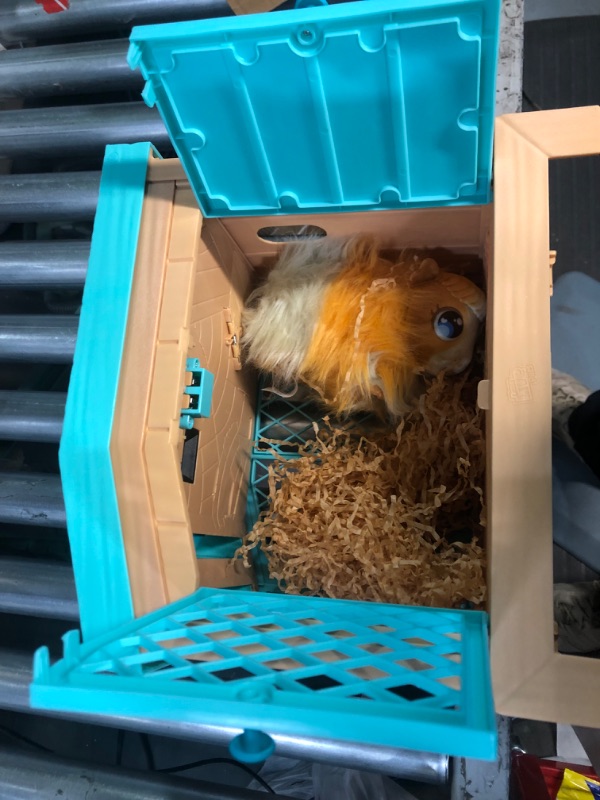 Photo 2 of **missing items***Little Live Pets - Mama Surprise | Soft, Interactive Guinea Pig and her Hutch, and her 3 Babies. 20+ Sounds & Reactions. for Kids Ages 4+, Multicolor, 7.8 x 11.93 x 11.38 inches