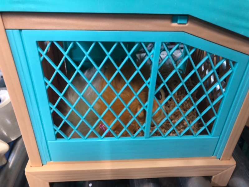 Photo 3 of **missing items***Little Live Pets - Mama Surprise | Soft, Interactive Guinea Pig and her Hutch, and her 3 Babies. 20+ Sounds & Reactions. for Kids Ages 4+, Multicolor, 7.8 x 11.93 x 11.38 inches