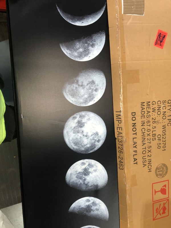 Photo 2 of **DAMAGED**Empire Art Direct Moon Frameless Tempered Glass Flower Panel Graphic Wall Art, 63" x 24" x 0.2", Ready to Hang