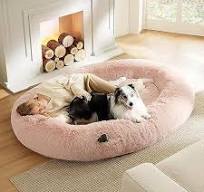 Photo 1 of stock photo for refrence 
human dog bed for people  unico pink