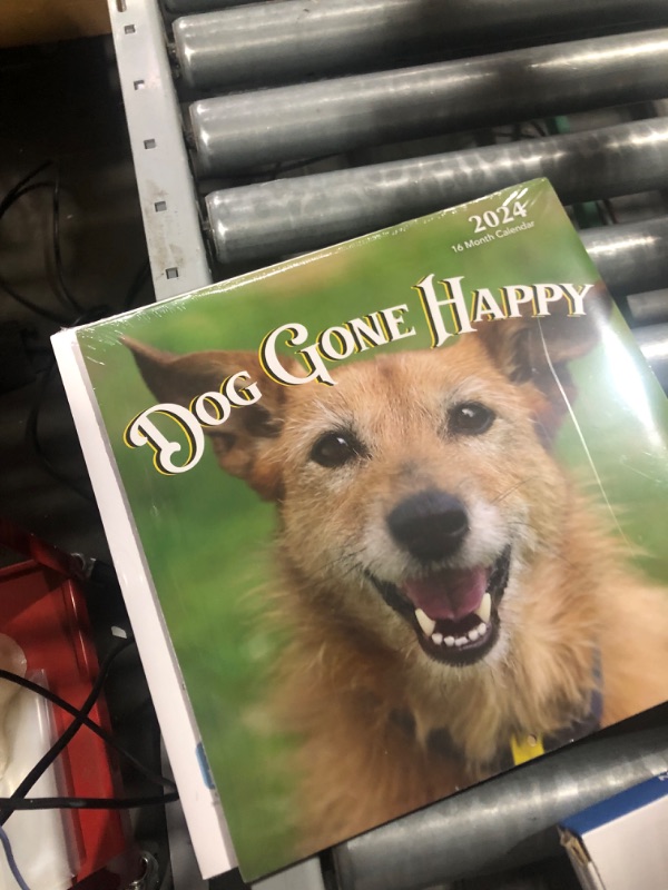 Photo 2 of 2024 Dog Gone Happy Hangable Wall Calendar - 12" x 12” - Smiling Cute Funny Puppies Photo Gift - Sturdy Thick Puppy Dogs Photography - Large Full Page 16 Months for Organizing & Planning (2-pack)