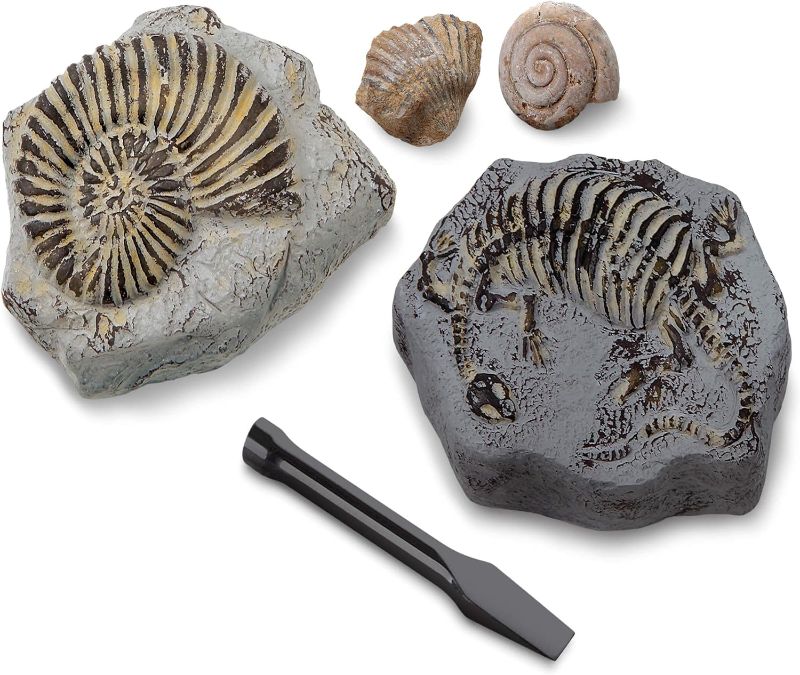 Photo 1 of Discovery #MINDBLOWN Mini Fossil Dig Set, 2 Pack Excavation Kit, Interactive Archaeology Paleontology Experiment, Learn Science, Fun and Educational STEM Toy for Kids Ages 6 and Up