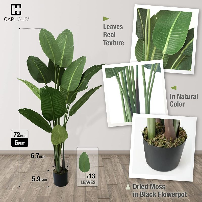 Photo 3 of (READ FULL POST) CAPHAUS 6 Feet Artificial Bird of Paradise, 72 Inch with 13 Trunks, Premium UV Resistant Lifelike Fake Plant in Pot with Dried Moss for Office, Indoor/Outdoor Use & Tropical Home Décor 6 FT