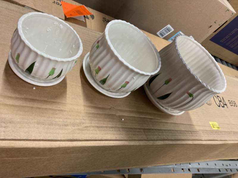Photo 1 of Foraineam Set of 3 Ceramic Plant Pots Small to Large Sized Garden Flower Planter Pot Round Modern Succulent Cactus Containers with Drainage and Saucer
