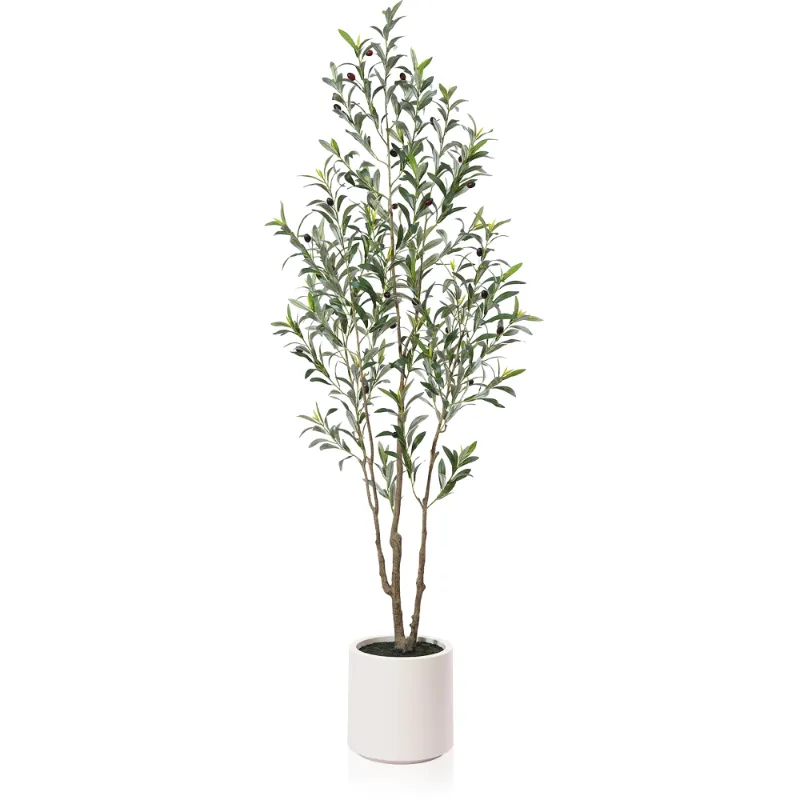 Photo 1 of 6FT Large Artificial Olive Tree Plant in White Planter With Lifelike Moss. 10 lb. DR.Planzen