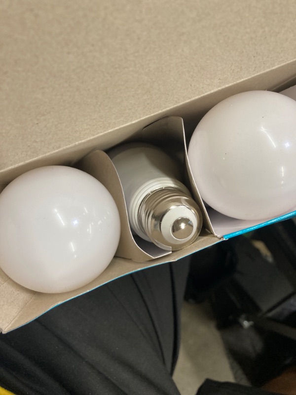Photo 1 of 100-Watt Equivalent A19 Dimmable LED Light Bulb Bright White (4-Pack)
&
60-Watt Equivalent ST19 Straight Filament Dusk to Dawn Clear Glass E26 Vintage Edison LED Light Bulb, Daylight
