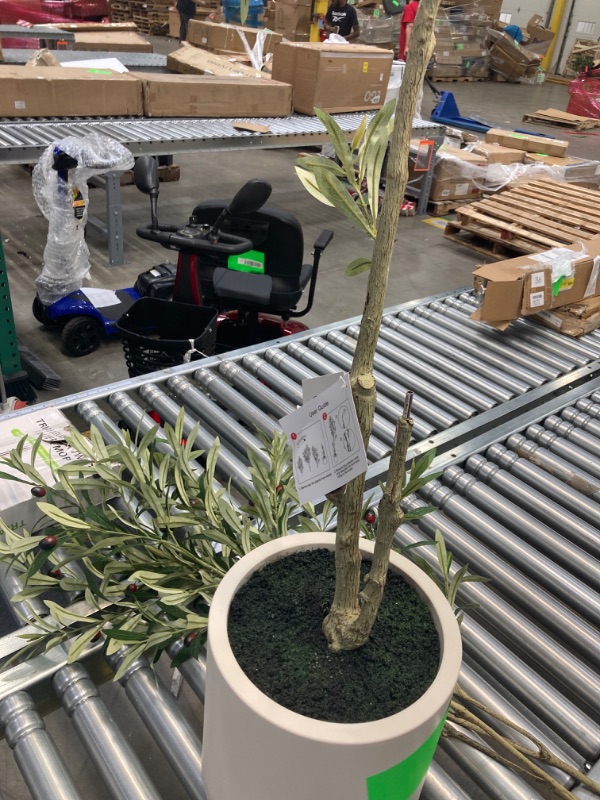 Photo 1 of LOMANTO Artificial Olive Trees, 5 ft Tall Fake Olive Trees for Indoor, Faux Olive Silk Tree, Large Olive Plants with White Planter for Home Decor and Housewarming Gift, 1 Pack